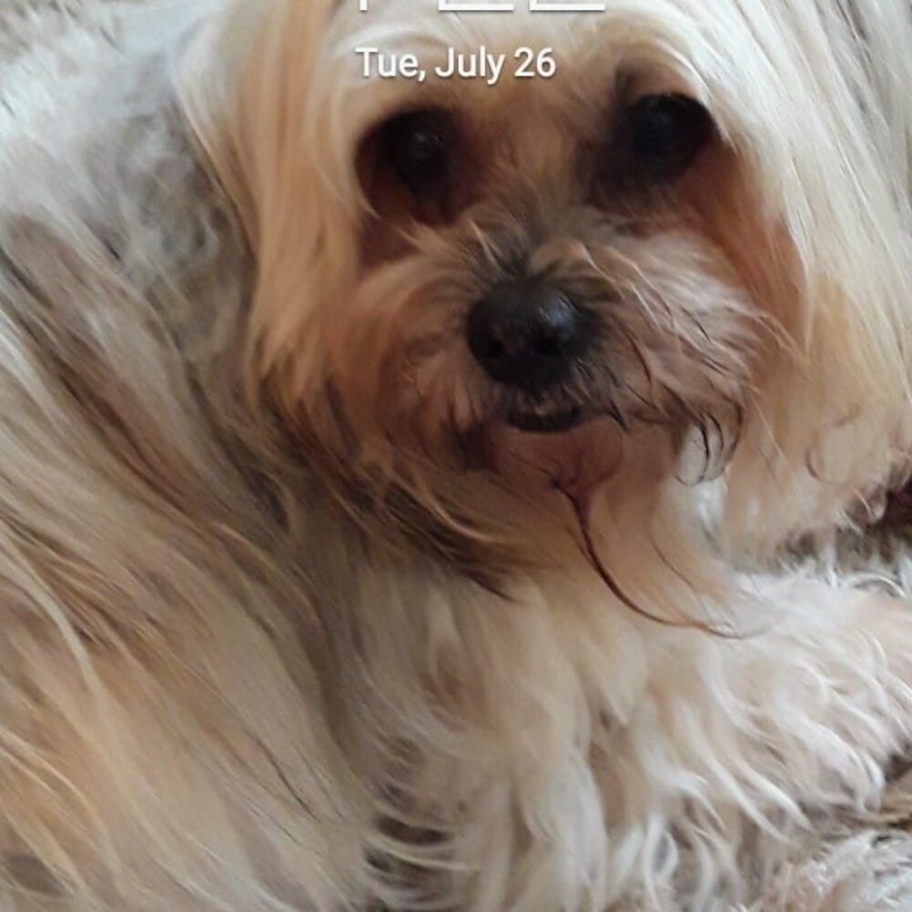 Meet your Posher, Cynthia